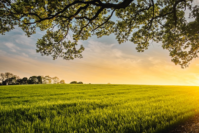 Terres agricoles en Argentine