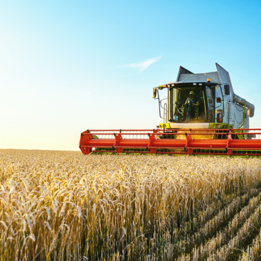 Agricultura y pesca