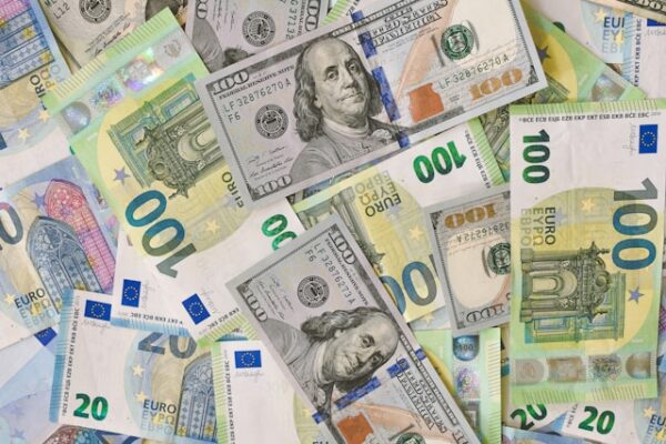 Foreign Exchange Controls in Argentina