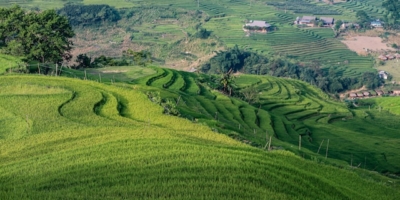 Terres Rurales par les Etrangers