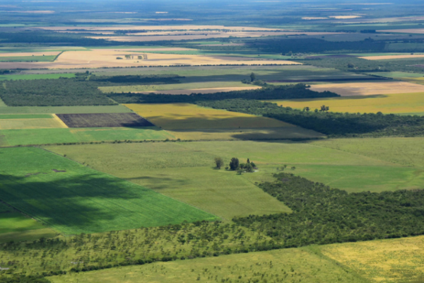 More on The Argentina Rural Land Law: A Stand for Sovereignty or The Pursuit of Foreign Investment? More on The Argentina Rural Land Law: A Stand for Sovereignty or The Pursuit of Foreign Investment?