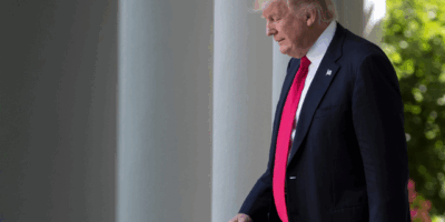 Donald Trump vs. Big Law