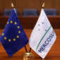 EU-Mercosur: New Obstacles and an Opening for Argentina