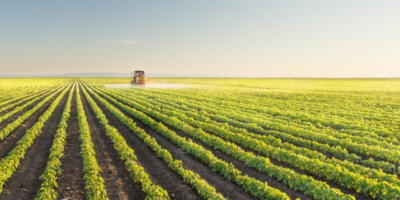 Projet de Réforme du Droit du Travail Agricole