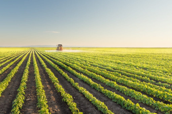 Modifications du régime du travail agricole - WSC Projet de Réforme du Droit du Travail Agricole
