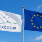 Acuerdo UE-Mercosur: la apertura de los mercados de contratación pública