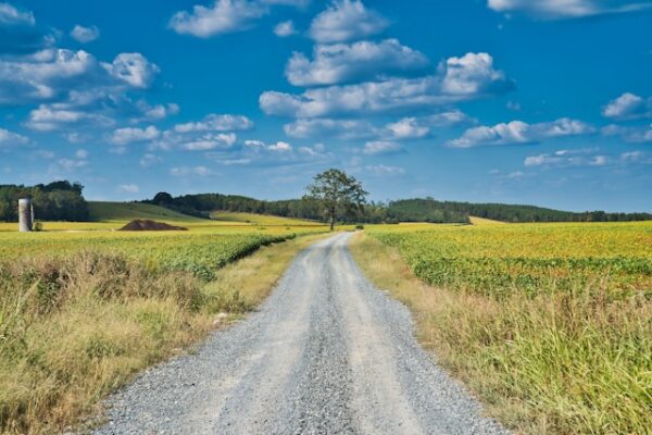 Rural Land Law in Argentina