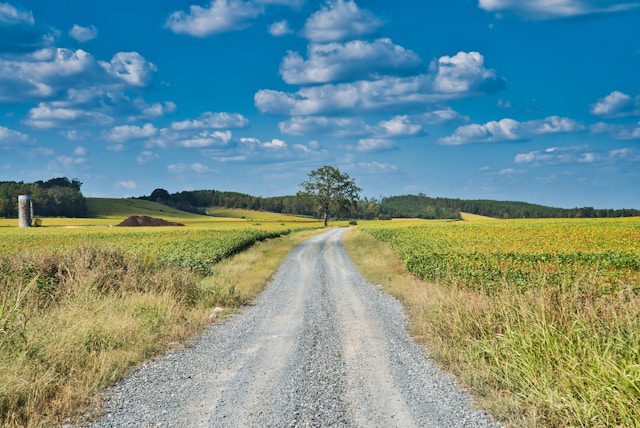 Rural Land Law in Argentina Rural Land Law in Argentina