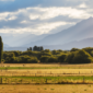 Rural Land Law Update: Did the Argentine Supreme Court Endorse the Milei Administration’s Policy?