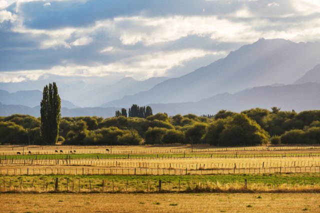 Rural Land Law Update: Did the Argentine Supreme Court Endorse the Milei Administration’s Policy?
